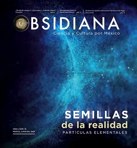 No. 10 Semillas de la realidad partículas elementales