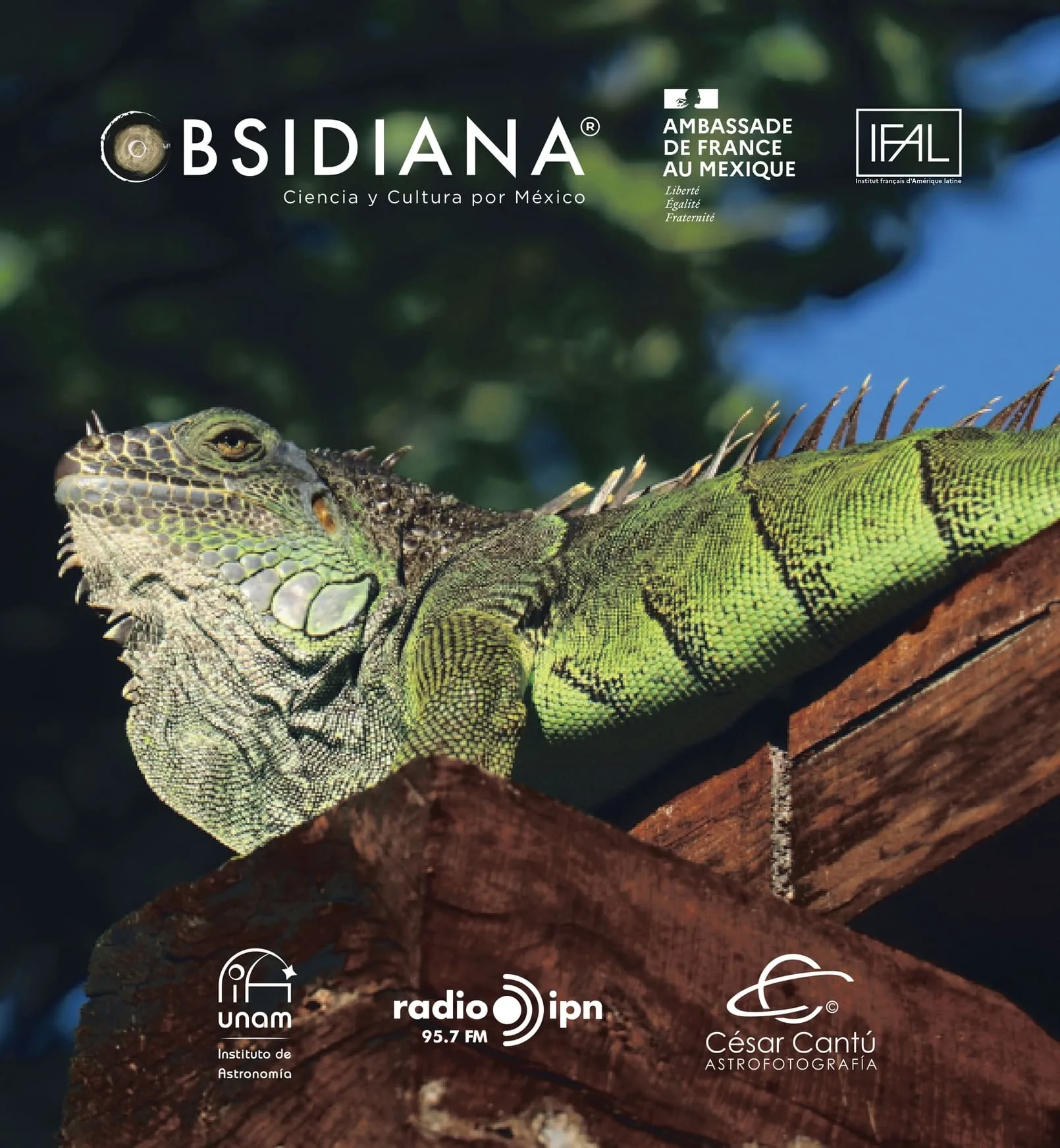 Biodiversidad