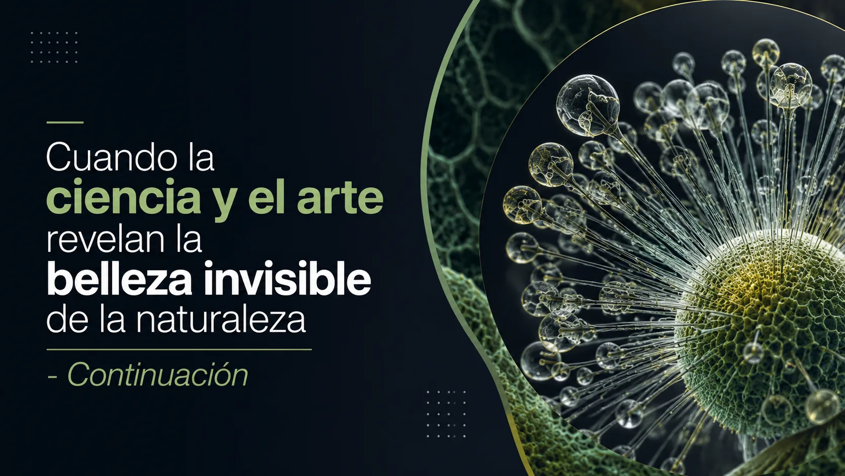 Cuando la ciencia y el arte revelan la belleza invisible de la naturaleza - Continuación | Láman Carranza