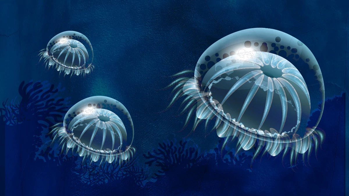 Batalla oceánica por un futuro sostenible