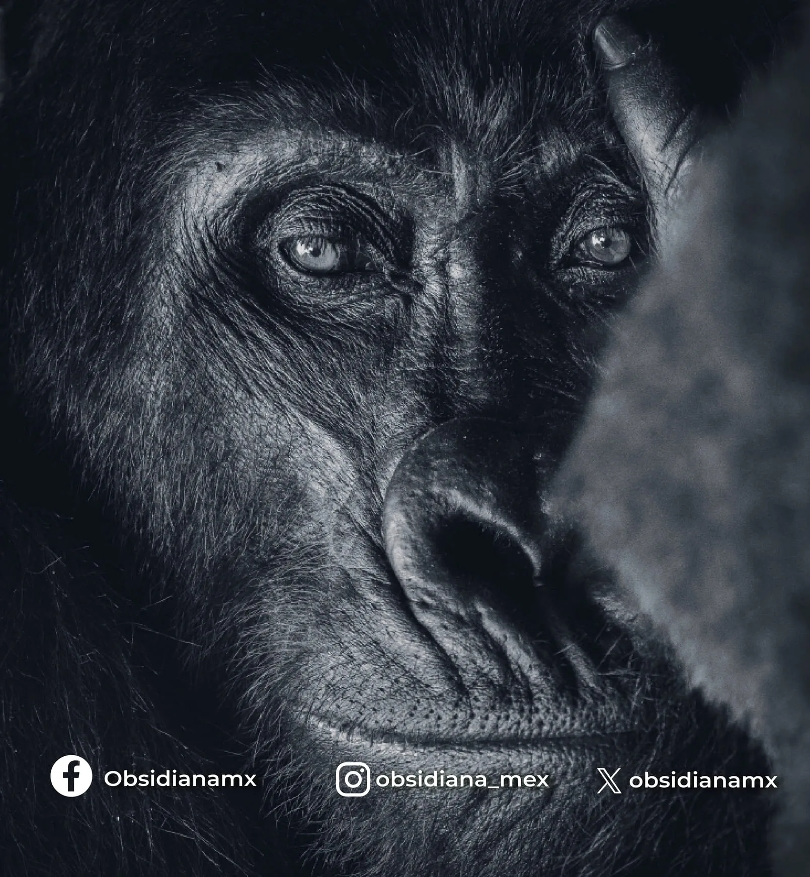 Biodiversidad