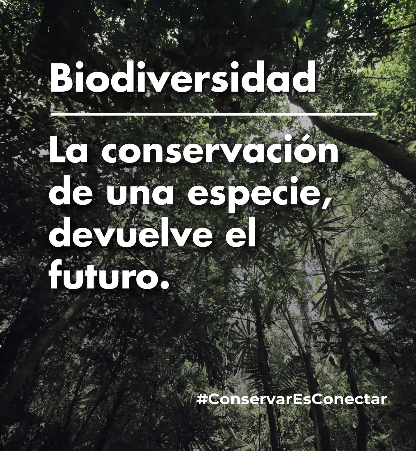 Biodiversidad