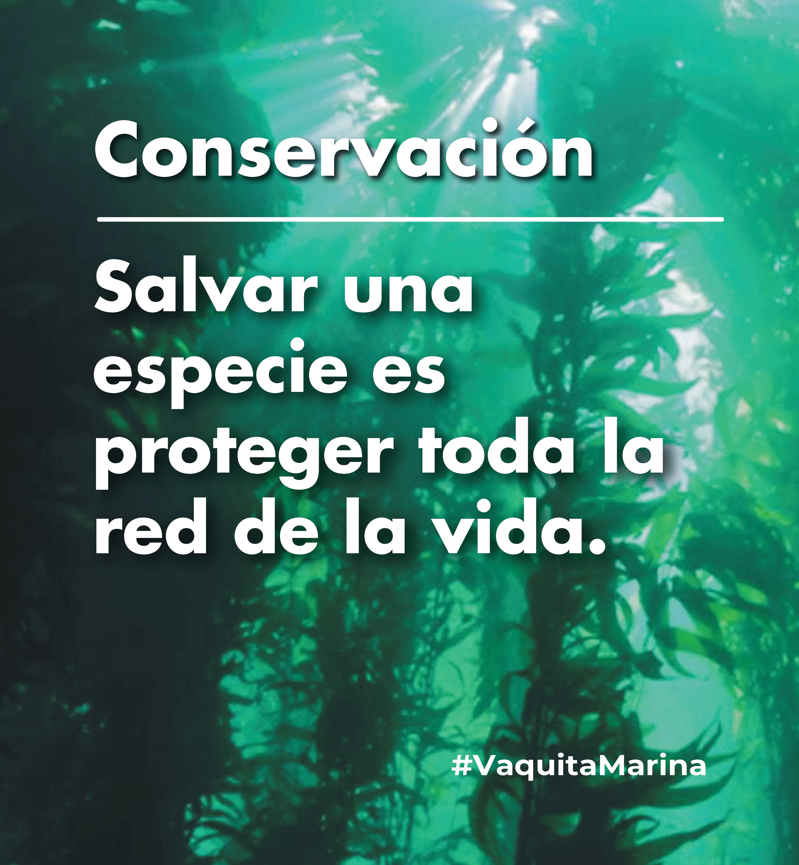 Conservación