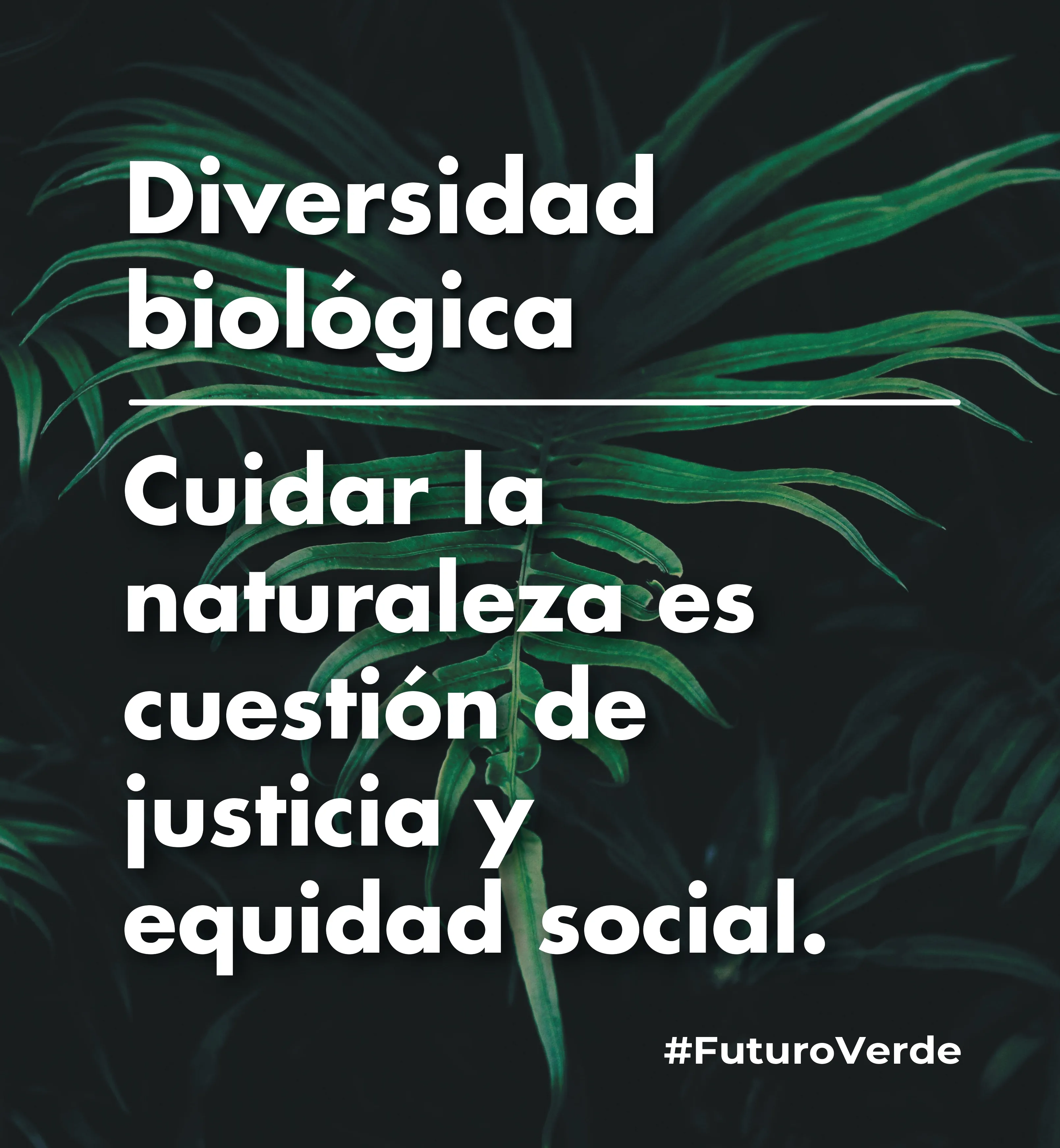 Diversidad biológica