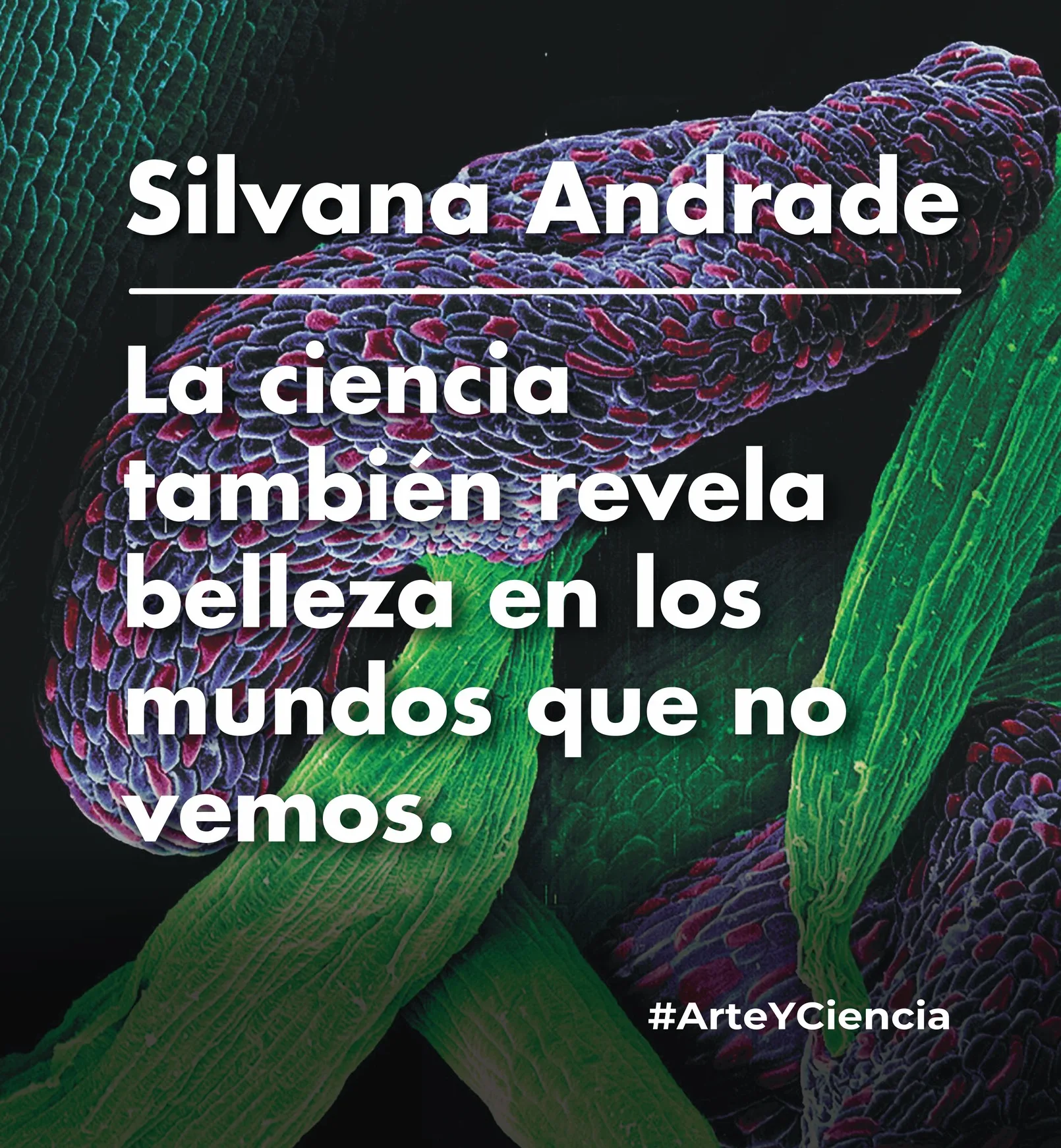 Silvana Andrade