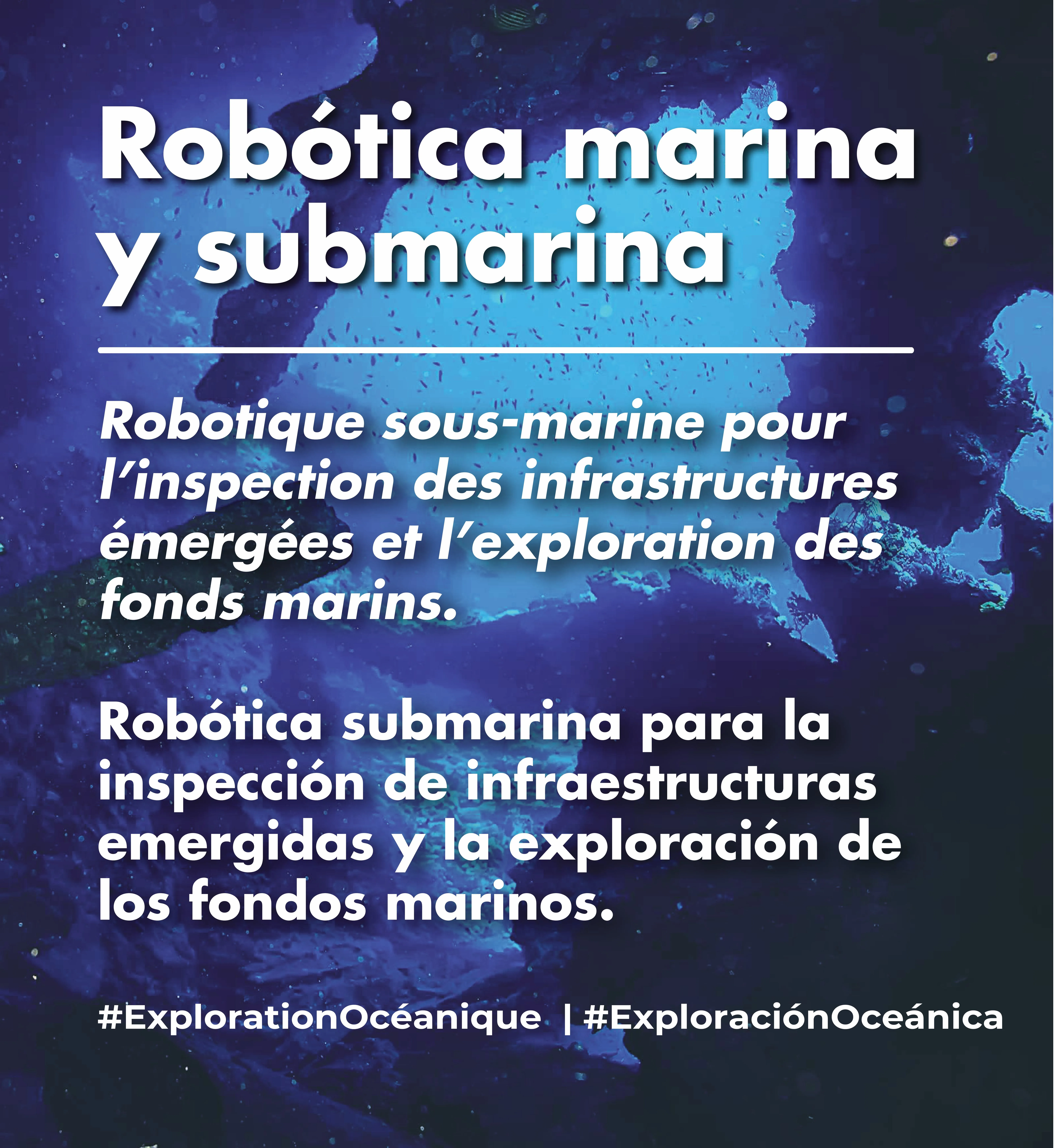Robótica marina y submarina