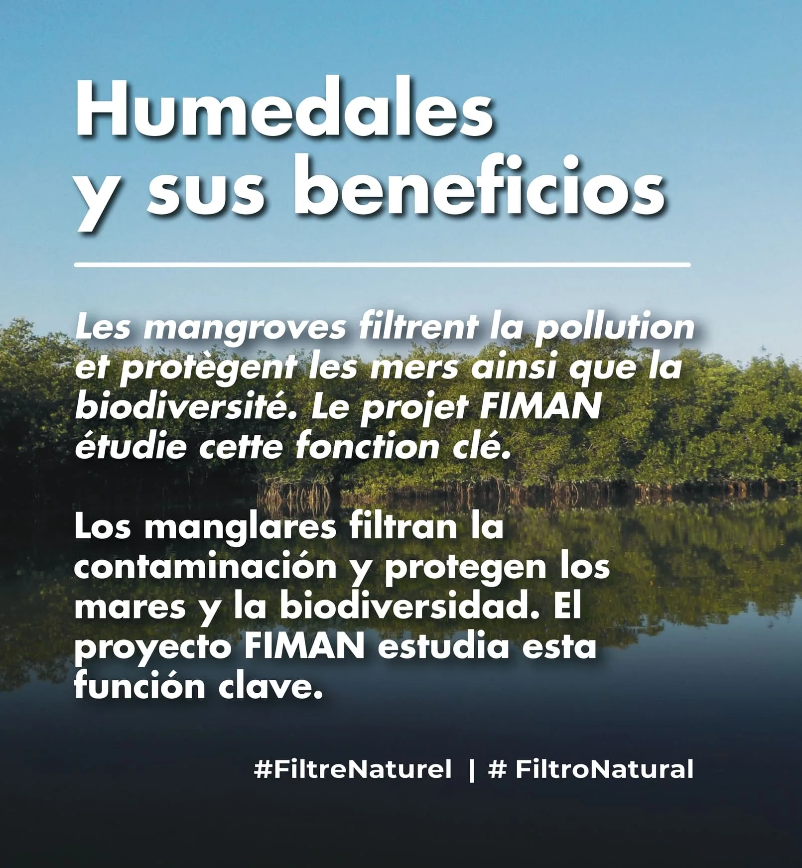 Humedales y sus beneficios