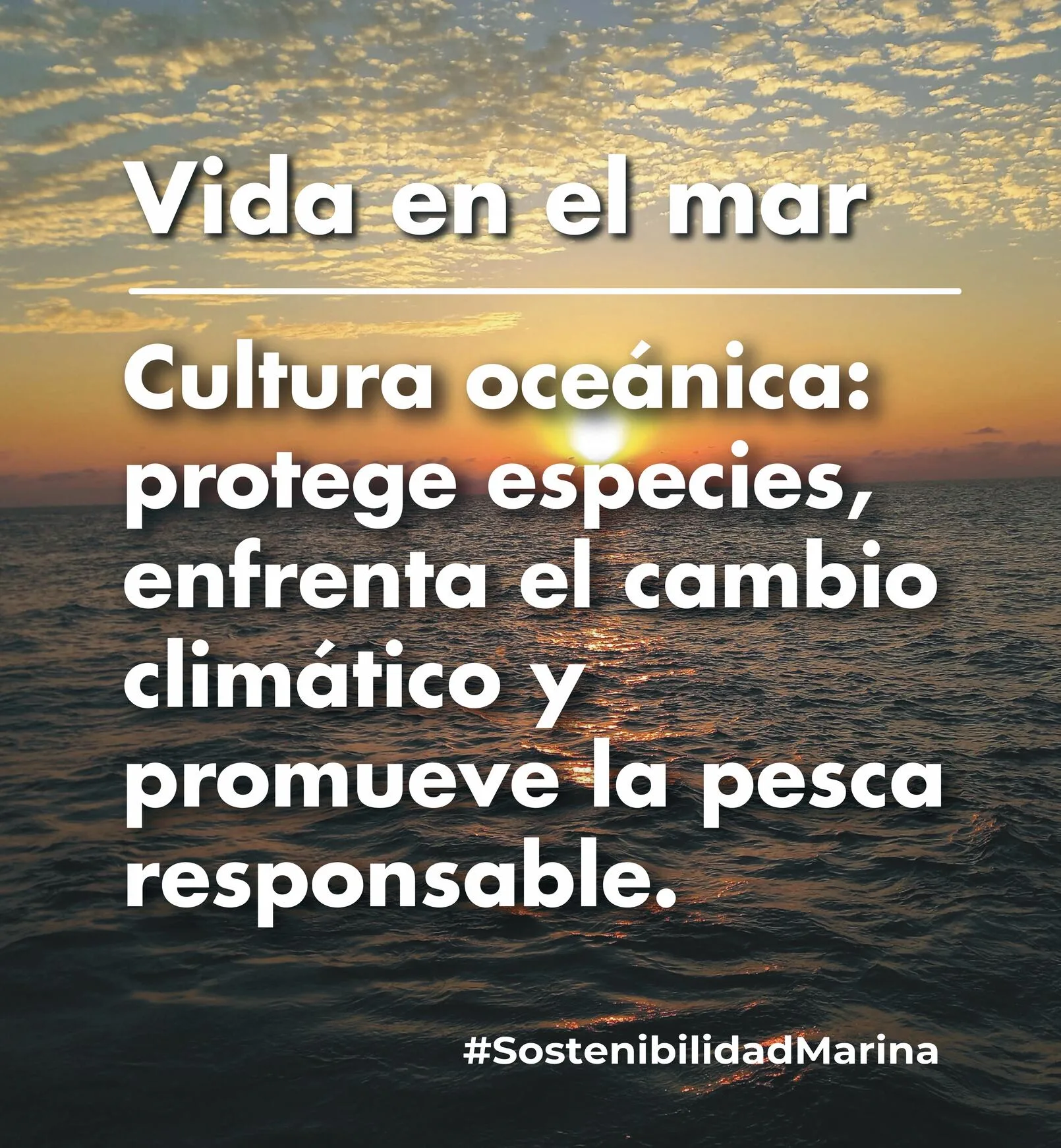 Vida en el mar