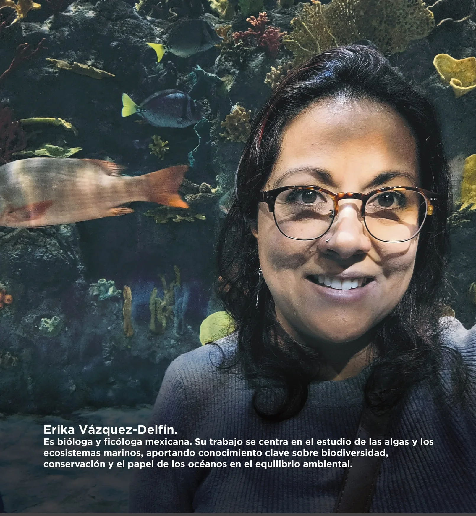 Sargazo: reflejos del oceano