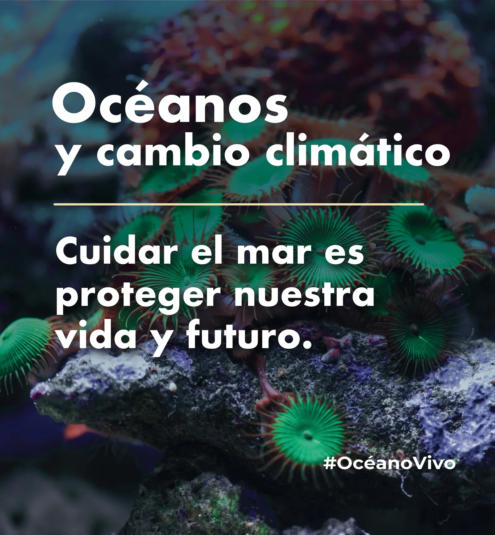 Océanos y cambio climático