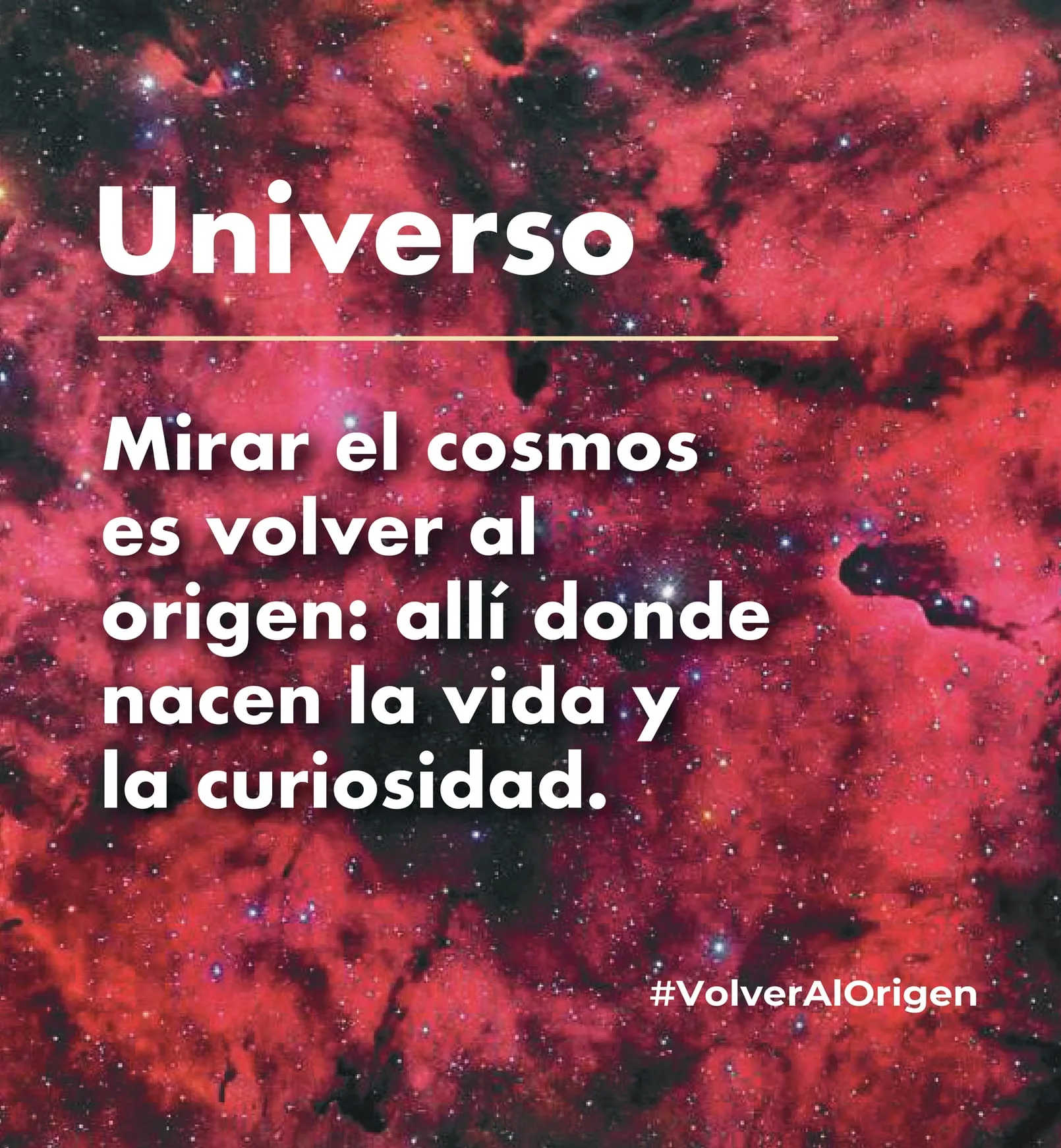 Universo