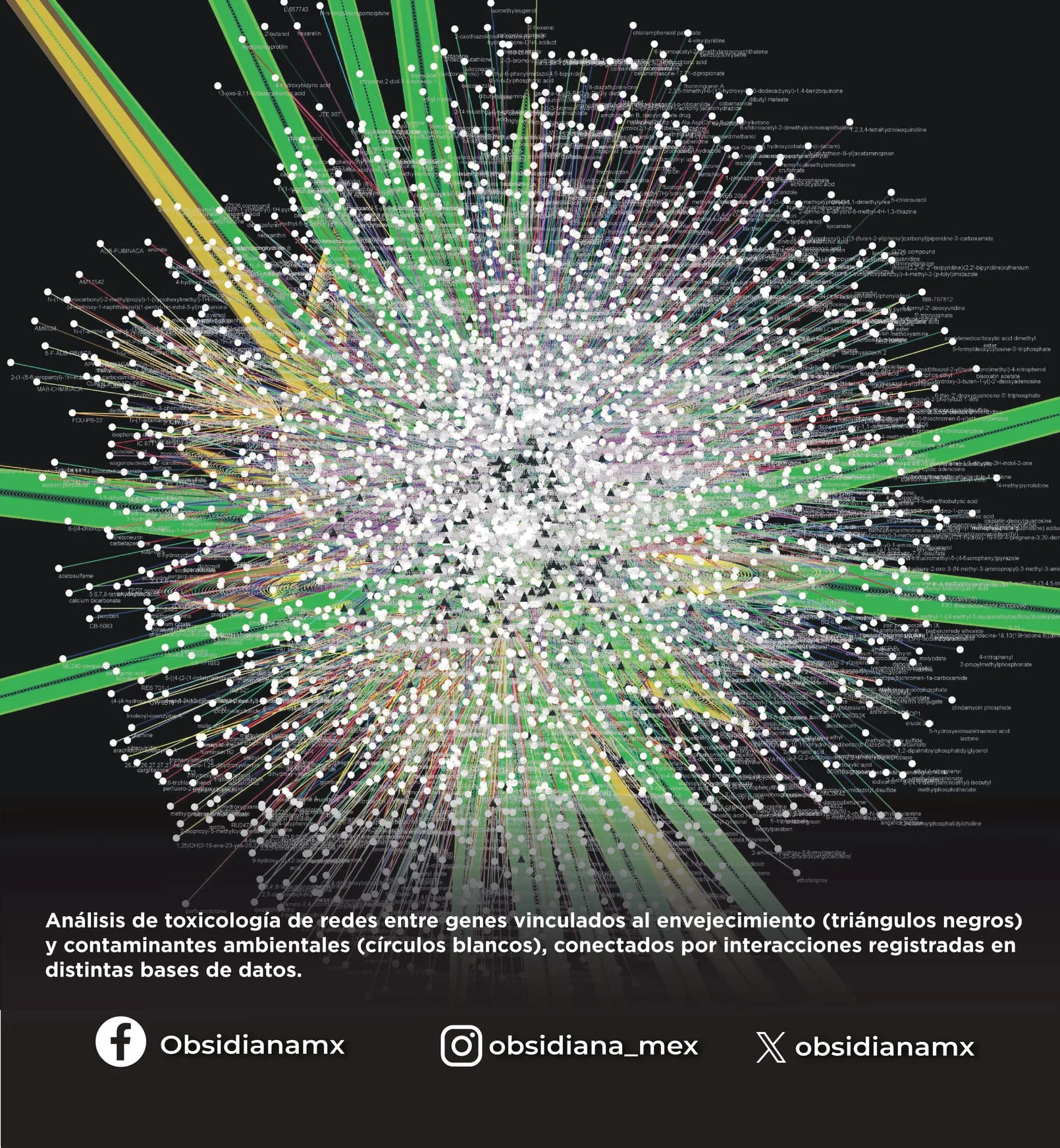 La nueva ciencia del envejecimiento