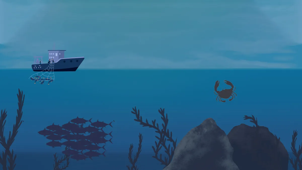 La pesca en México: valor, riesgos y amenazas climáticas*