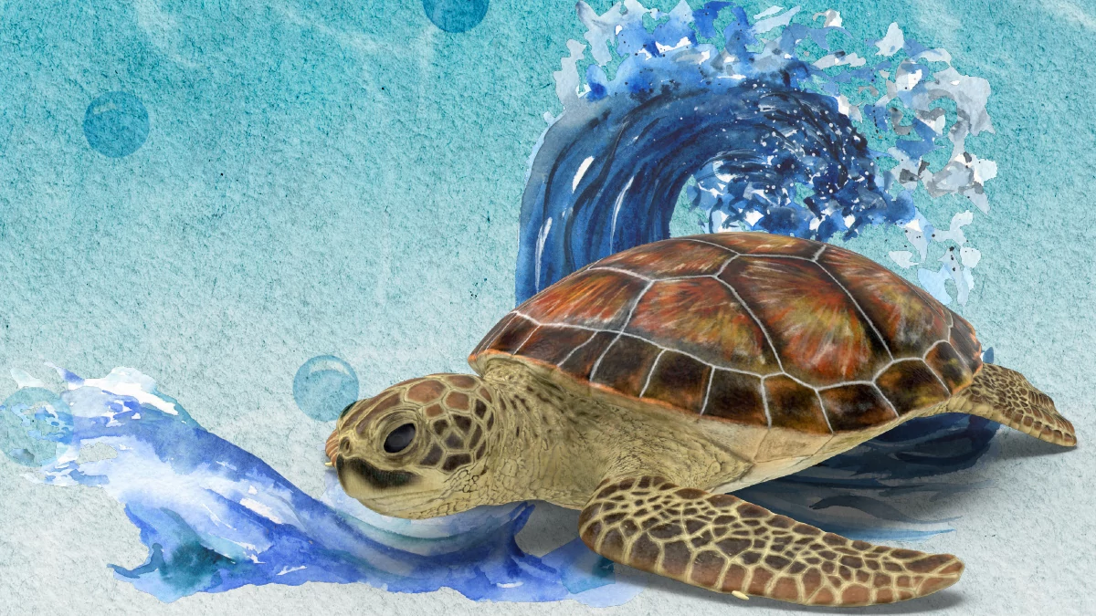 El océano: fundamental para el sistema climático del planeta