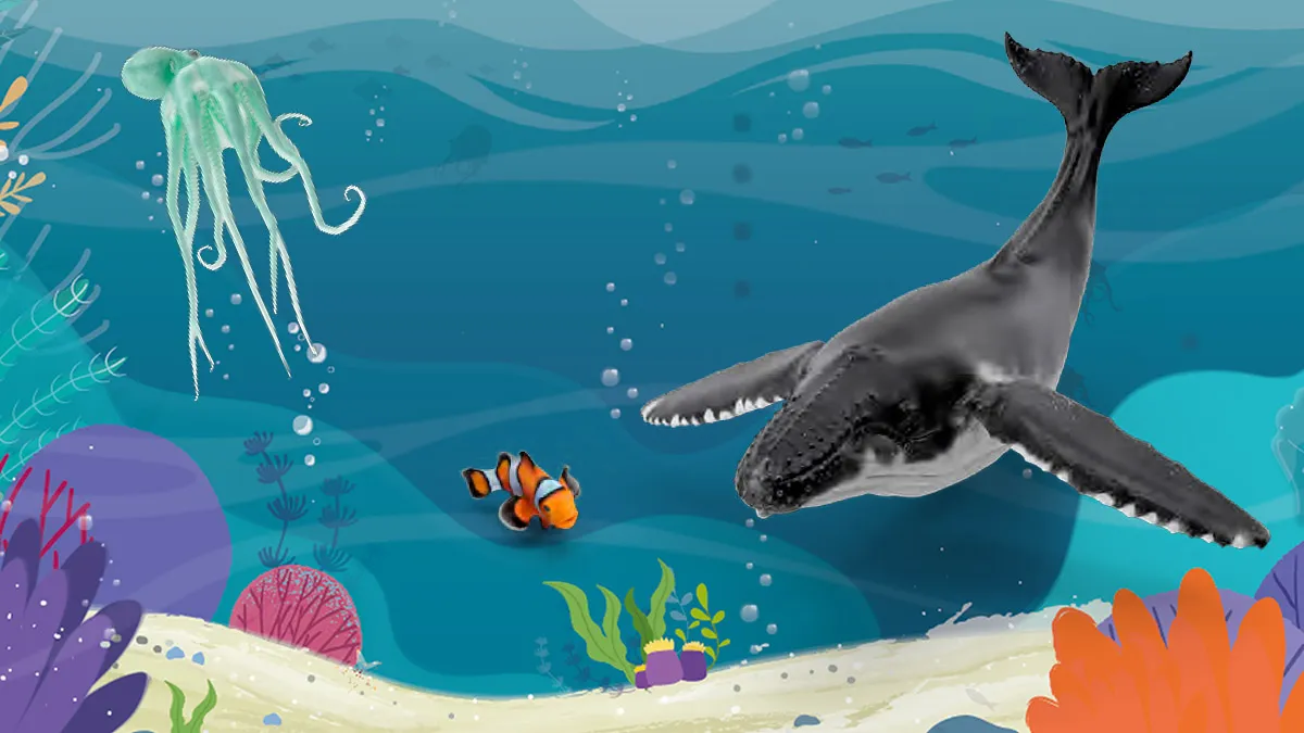 Océano y cambio climático: de lo local a la globalidad