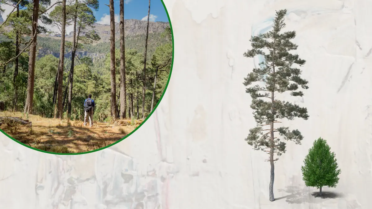 Una caminata con los guardianes cuidadores de los bosques de agua