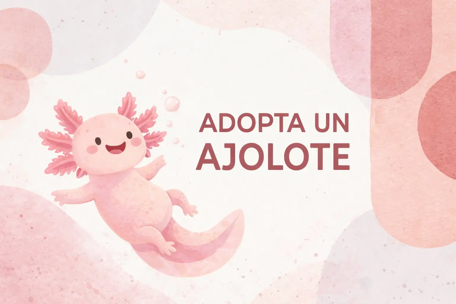 Adopta un ajolote
