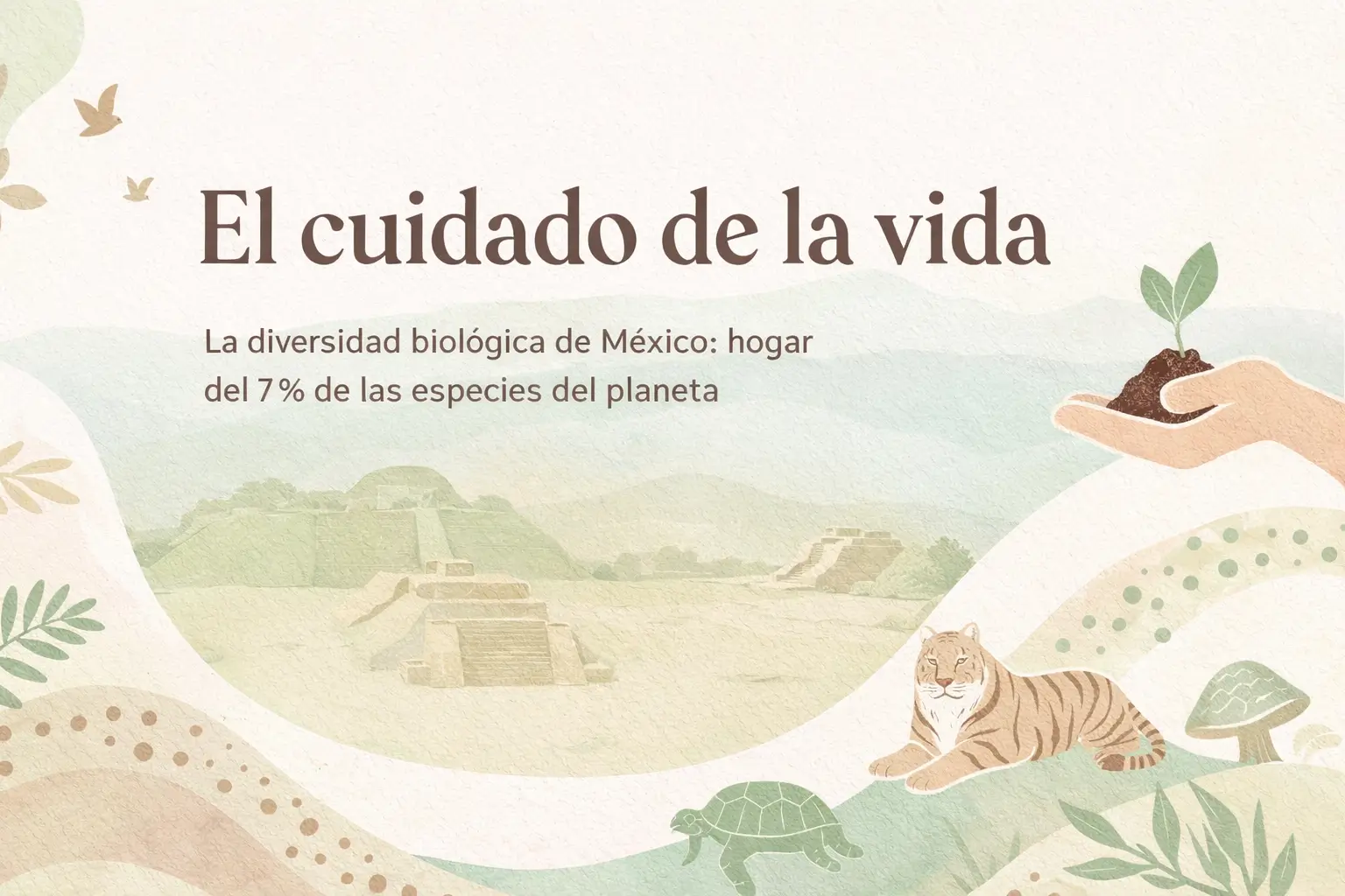 El cuidado de la vida