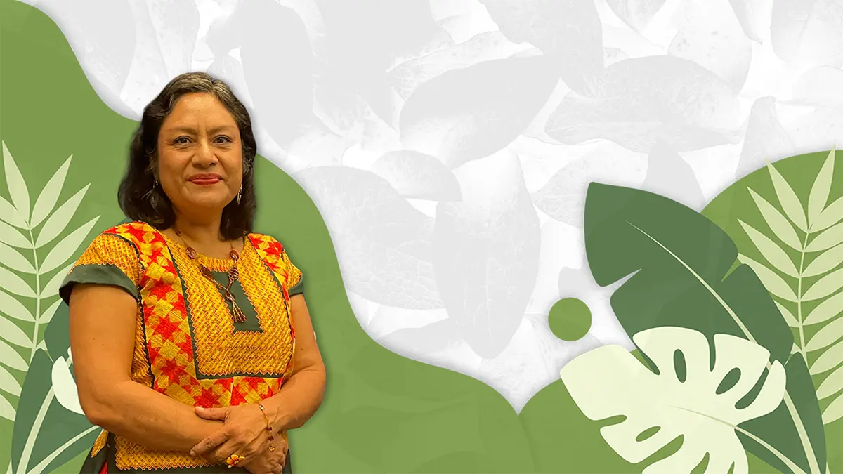 La poesía como luciérnaga