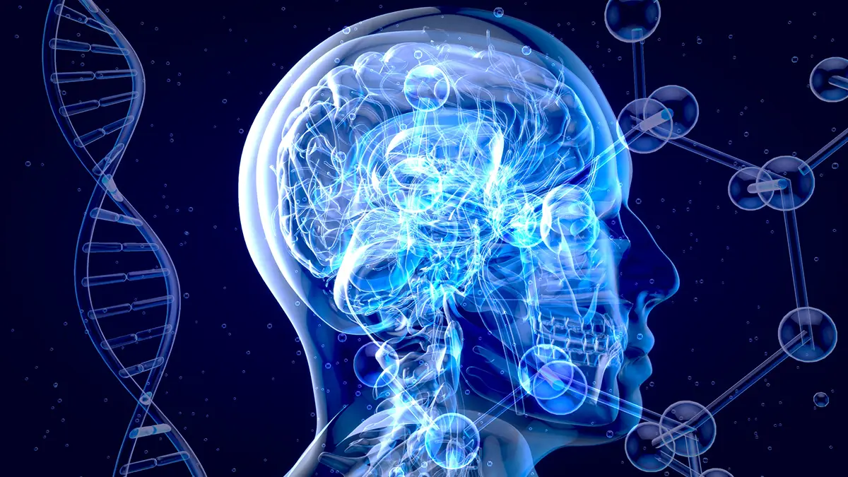 ¿Se puede frenar el envejecimiento?